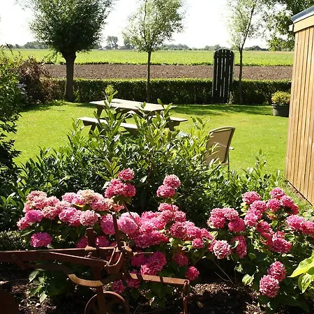 Tjallewal Schagen